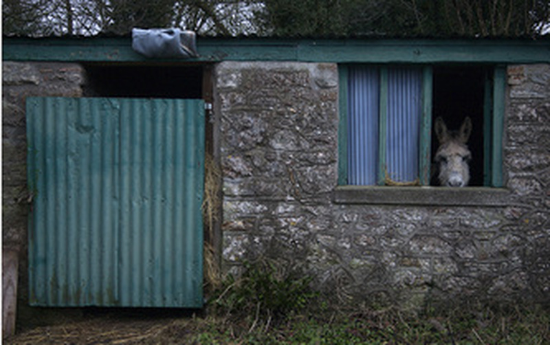 Nice Ass, Somerset, 2007